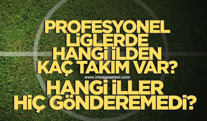 Türkiye’de oynanan profesyonel liglerde hangi ilden kaç takım var hangi ilden hiç yok?